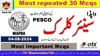 WAPDA Junior Clerk Past Paper Held On 08-04-2022 | Senior clerk Wapda paper : part - 01