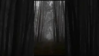Лесной лабиринт 2 #subscribe #мистика #creepy #horrorstories #recommended #смерть #рекомендации