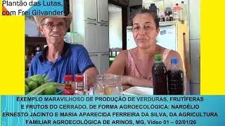 EXEMPLO MARAVILHOSO DE PRODUÇÃO AGROECOLÓGICA: NARDÉLIO  E APARECIDA, IGREJINHA, ARINOS/MG. Vídeo 01