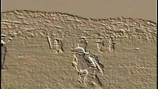 Peacekeepers from the South