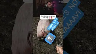 What I Pulled Out of This Pig&hellip; 🐖😱