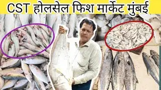 Mumbai CST fish market 🇮🇳🔥 Mumbai largest fish market 🐟🐠🦈❤️ Full Tour