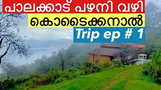 പാലക്കാട് | പഴനി | വഴി | കൊടൈക്കനാൽ ഒരു രക്ഷയുമില്ല // #kerala #roadtrip