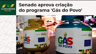 Senado aprova criação do programa 'Gás do Povo', que prevê distribuição de botijão de gás