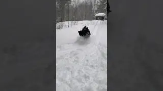 Canadian Winter Eh? ~ Snowy Weather