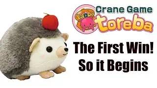 First Unboxing! - Toreba Series