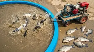 How to Catch Fish Mini Powerfull WaterPump Fish Rescue safe Fish 