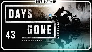 DAYS GONE RE ❑ 43 &ndash; BOUNTY FOR KOURI & CINNABAR 🏆 LET'S PLATINUM PS5 PRO FULL GAMEplay Walkthrough