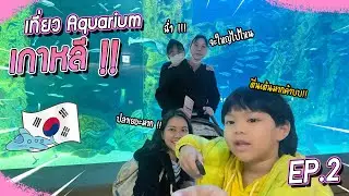 พี่เกลือไปทำอะไรที่เกาหลี 🇰🇷 ??? EP.2 | VogVlog