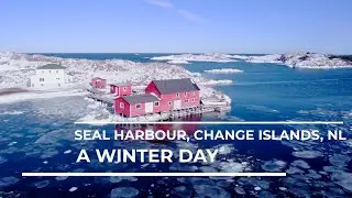 A Winter Day, Seal Harbour, Change Islands, NL