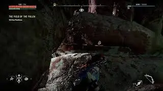 HZD Shield Weaver glitch