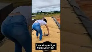 L&rsquo;outil qui prot&egrave;ge les acheteurs de grains