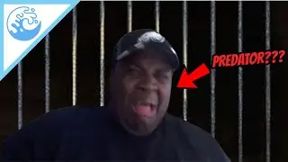 EDP445 exposed..