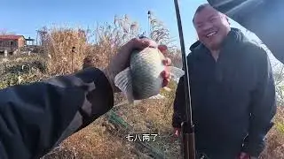 孤岛野钓，天气转晴，鱼情越来越好，只不过意外频发 #今晚吃鱼