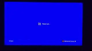 Rockstar support PSN ID/Transaction history