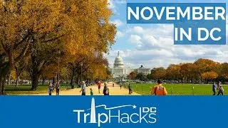 Tips for Visiting Washington DC in November