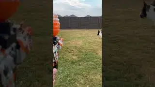 Cheap ass temu gel blaster
