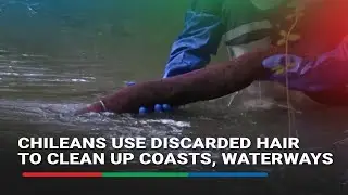 Chileans use discarded hair to clean up coasts, waterways | ABS-CBN News