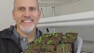 January Seed Startig Update!
