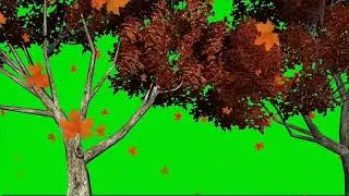 Autumn leaves falling green screen effect | NC TECH