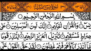Surah Yasin (Yaseen) | سورة يس | Beautiful & Heart-Touching Recitation #surahyaseen #peace #islam