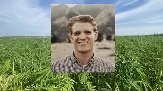 PanXchange Report Gives Fiber Hemp Green Light