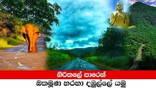 Travel Bakamuna To Dambulla |THAMANKADUWA TELEVISION - SRI LANKA