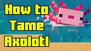 How to Tame Axolotl in Minecraft!