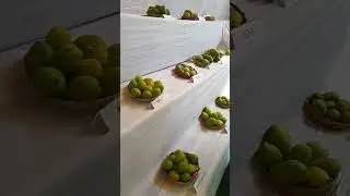 Aam Mela