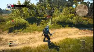 The Witcher 3 Combat Sucks.