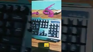 Unboxing__Zebronics Zeb-Transformer-k USB Gaming Keyboard with Multicolor LED Effect🔥😀#trending