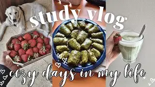 productive student vlog | studying Math, spring vibes, baked oats and harvesting strawberries🍓