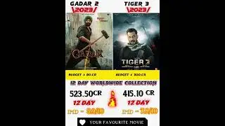 gadar 2 vs tiger 3 box office comparison 12 day collection worldwide #gadar2 #tiger3 #shortfeed