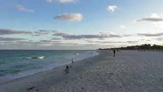 Fishing at Dr. Von D. Mizell-Eula Johnson State Park Dania Florida