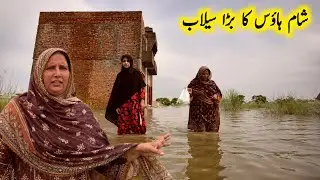The Biggest Flood in My Village | My Dream Home Sham House | Village Sham