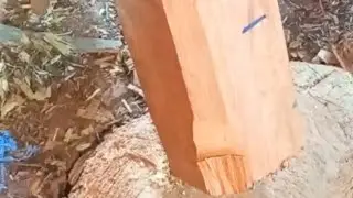 Virtual short woodworking idea