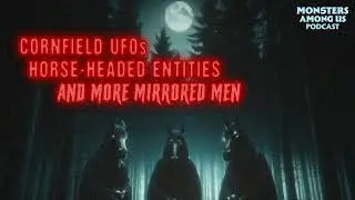 CORNFIELD UFOs, HORSE-HEADED ENTITIES & MORE MIRRORED MEN - TRUE PARANORMAL STORIES