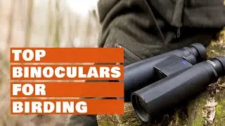 Top 5 Binoculars for Birding 2022