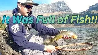 Fly Fishing for Yellowstone Cutthroat Trout