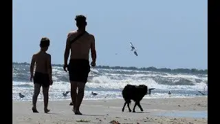 751. Danube Delta 3, Délta Dunaje Rumunsko 2019 Sulina