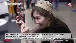 Казахский тазы стал звездой World Dog Show 2025