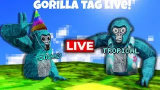 gorilla tag live!
