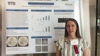 Lindsay Stone is exploring how quantum dots can make antibiotics more effective