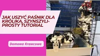 Jak uszyć paśnik dla króliczka, szynszyli lub chomika? Prosty tutorial krok po kroku- DIY