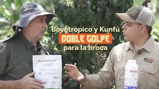 🌱 AGROINVESA | ¡EL GOLPE MÁS DURO PARA ESTA PLAGA! 💥🐛