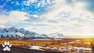 Emre Aklan - United Sky