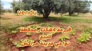 فيرمة فلاحية محفظة مساحتها 4هكتار نواحي مدينة مراكش