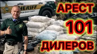 Арест более 100 человек, связанных с продажей запрещенных веществ в результате только одной операции