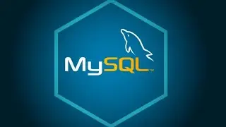 الجزء الثاني من تطبيق على MYSQL مع الضيف 