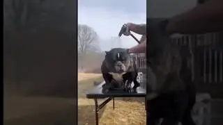 #funny #happy #comedy #memes #fails #fun #respect #prank #respect #funnyanimals #humor #emotional